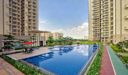 CONSCIENT HERITAGE 102