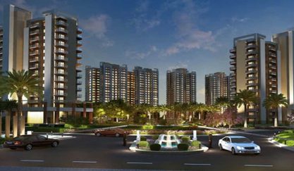 gls-avenue-81
