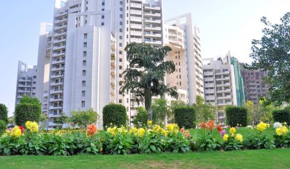 parsvnath exotica 53