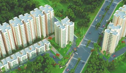 signature global synera 82